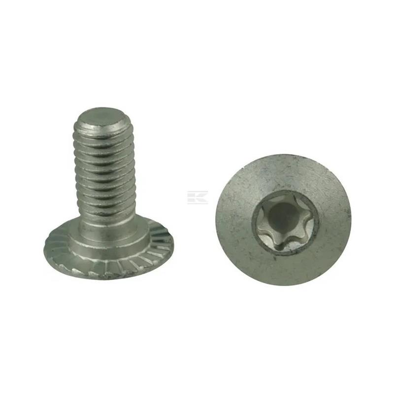 Vijak Torx M10x23