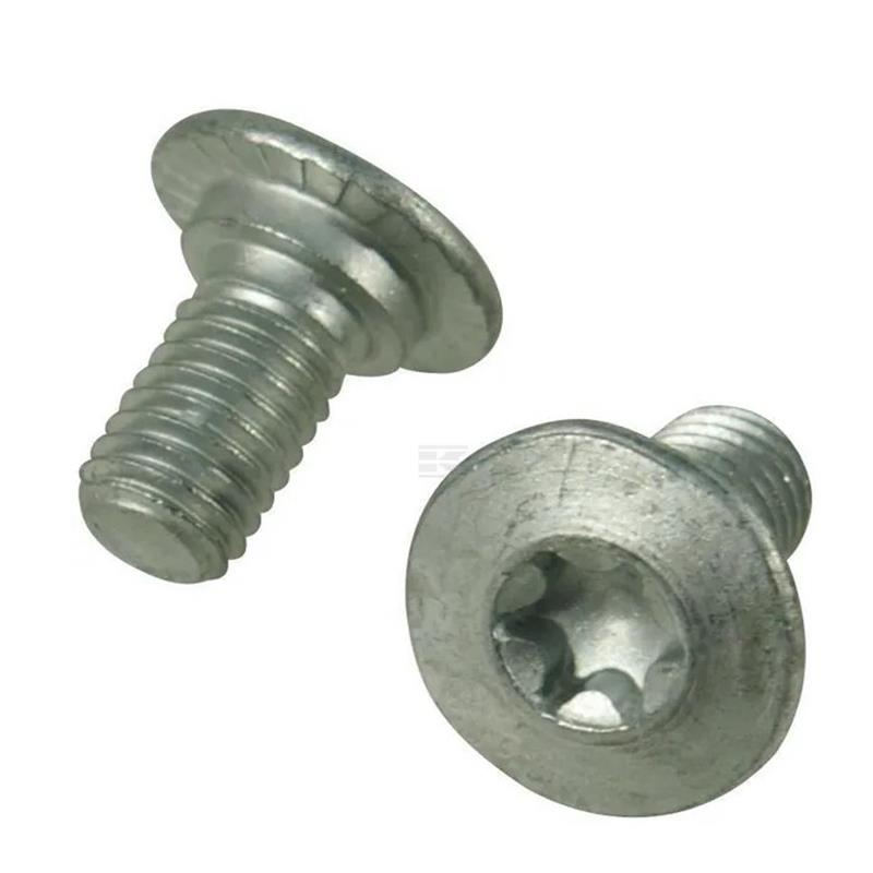 Vijak Torx M10x19